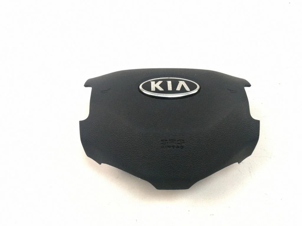 Steering wheel airbag 1H59601010