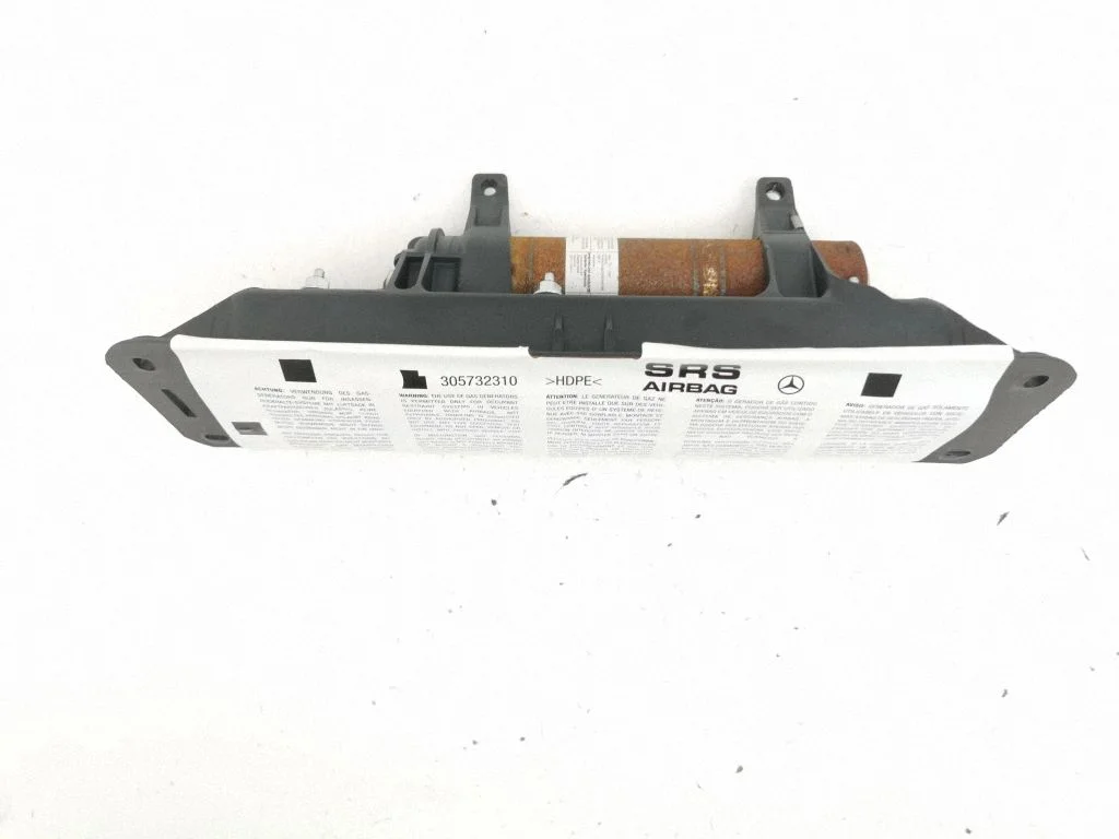 Passenger airbag 1698600005