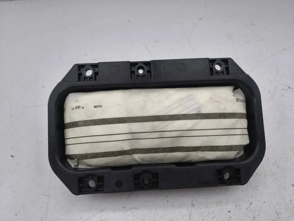 Passenger airbag AM51R042B84AF
