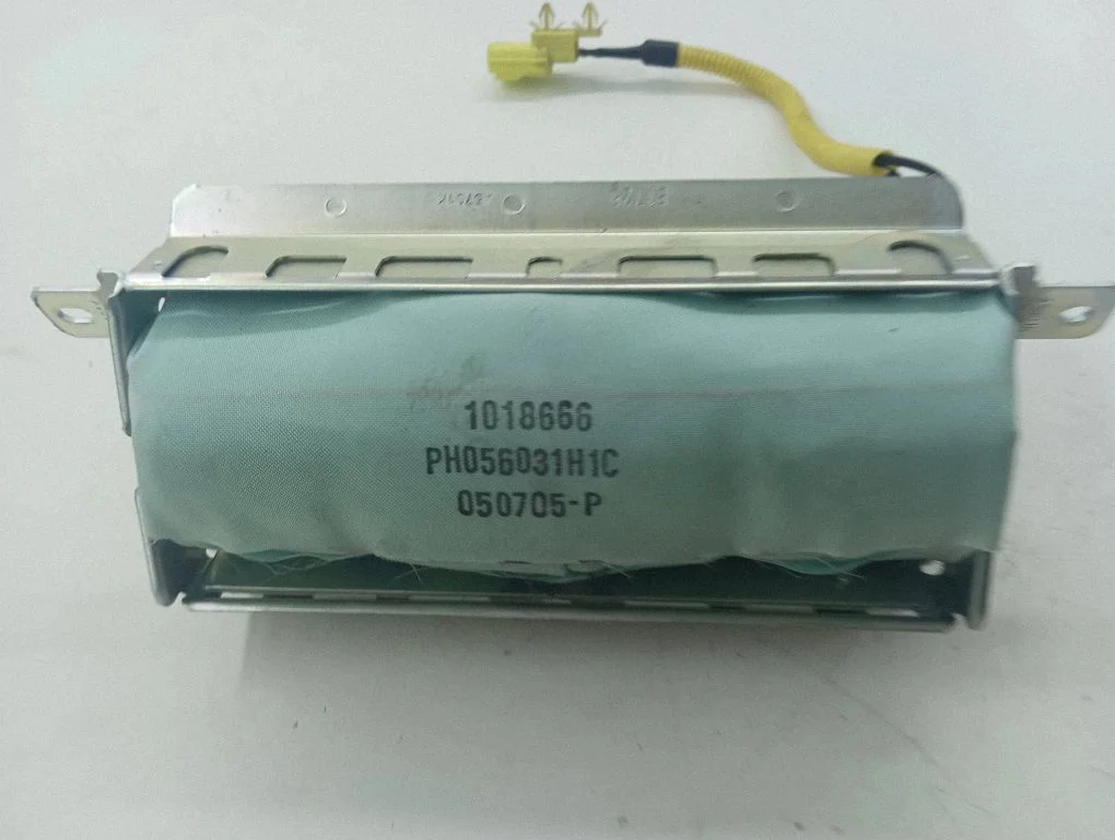 Passenger airbag 1018666