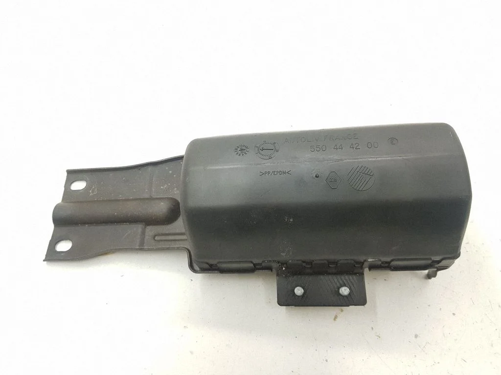 Passenger airbag 550444200
