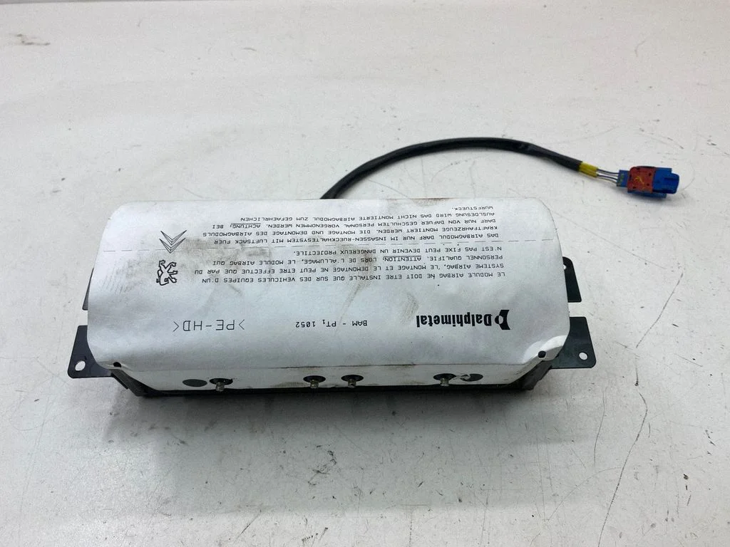 Passenger airbag 148786708003