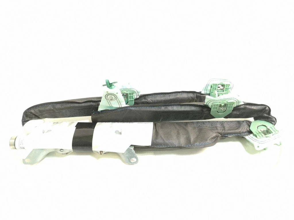 Roof airbag 2011573B4442