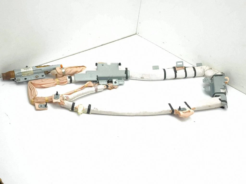 Roof airbag 1071889