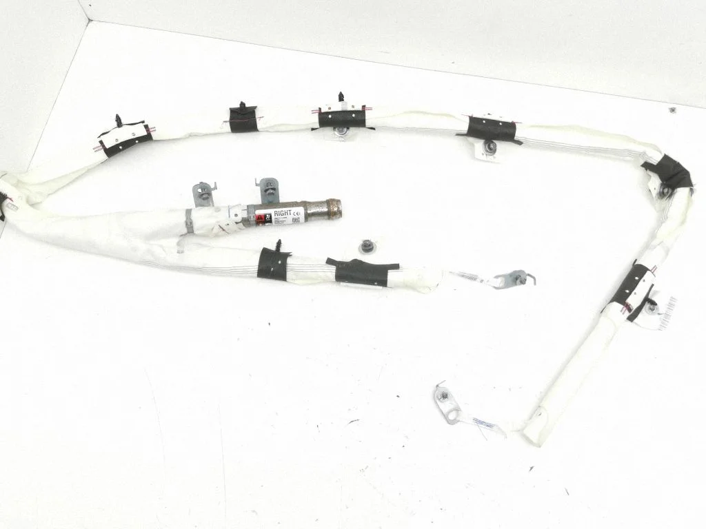 Roof airbag 1077828CNE