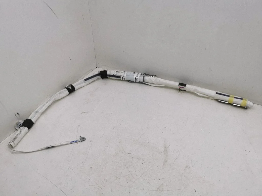 Roof airbag NX6PA234260129
