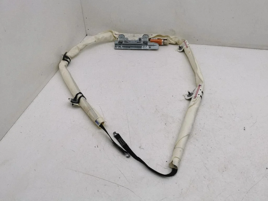 Roof airbag 1G09452701