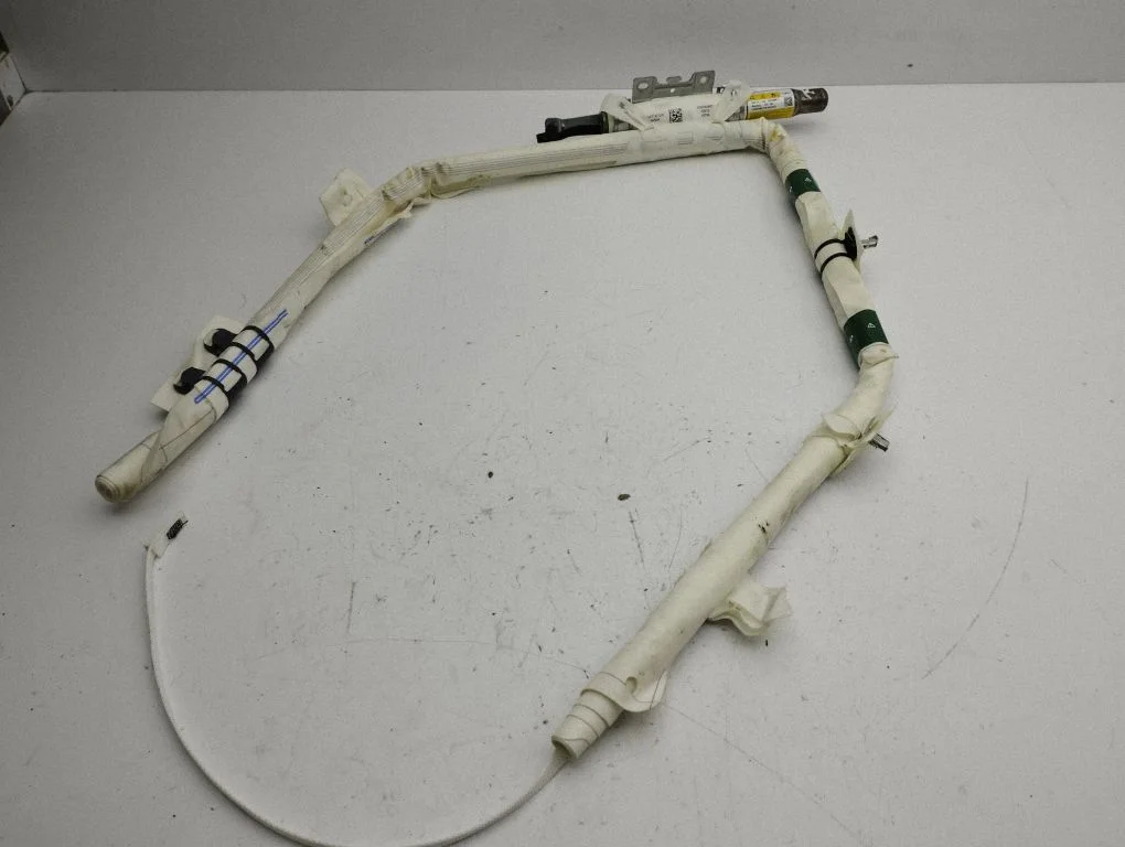 Roof airbag 1D0762901