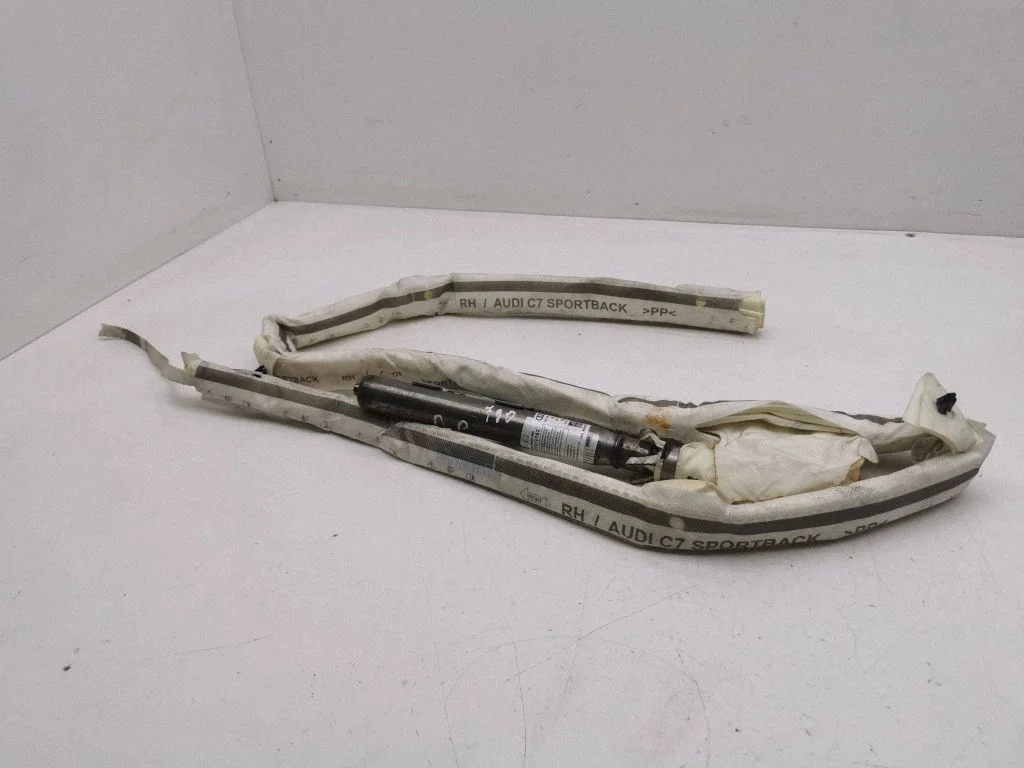 Roof airbag 4GB880742B