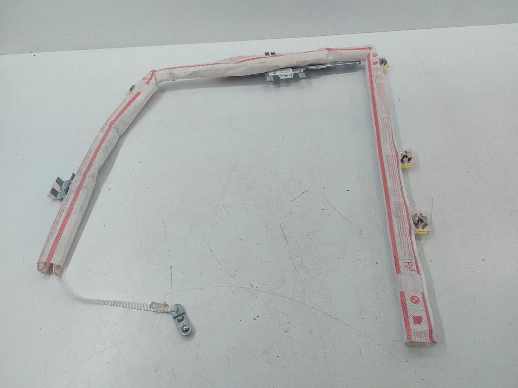Roof airbag 306450810