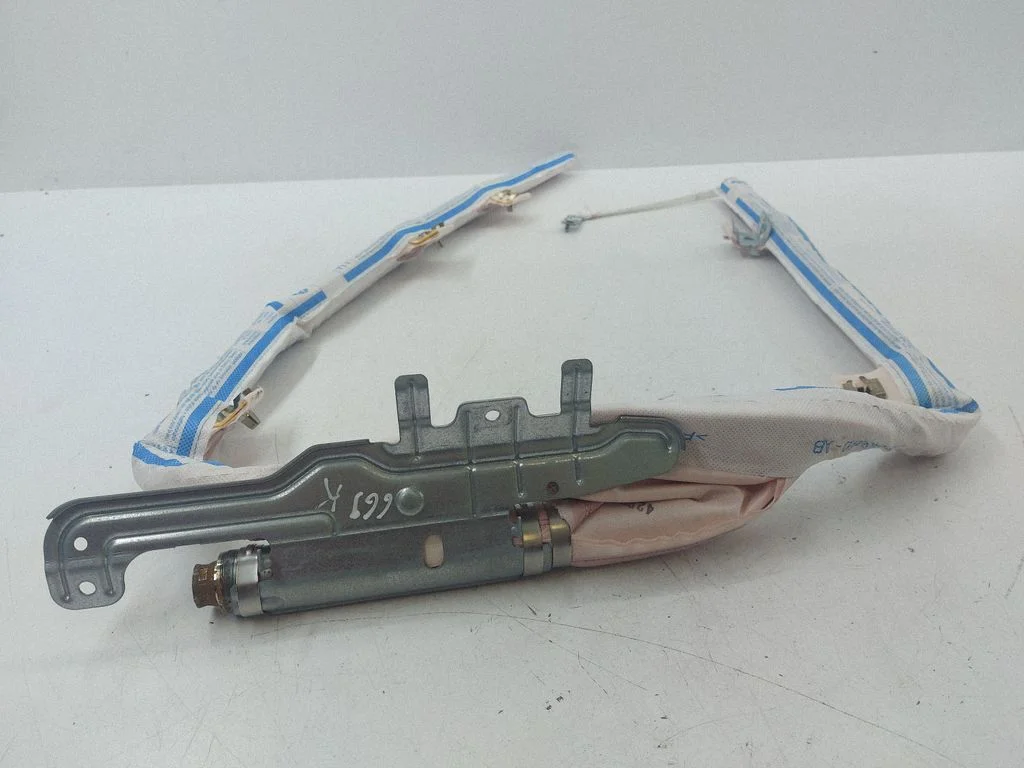 Roof airbag 306450810