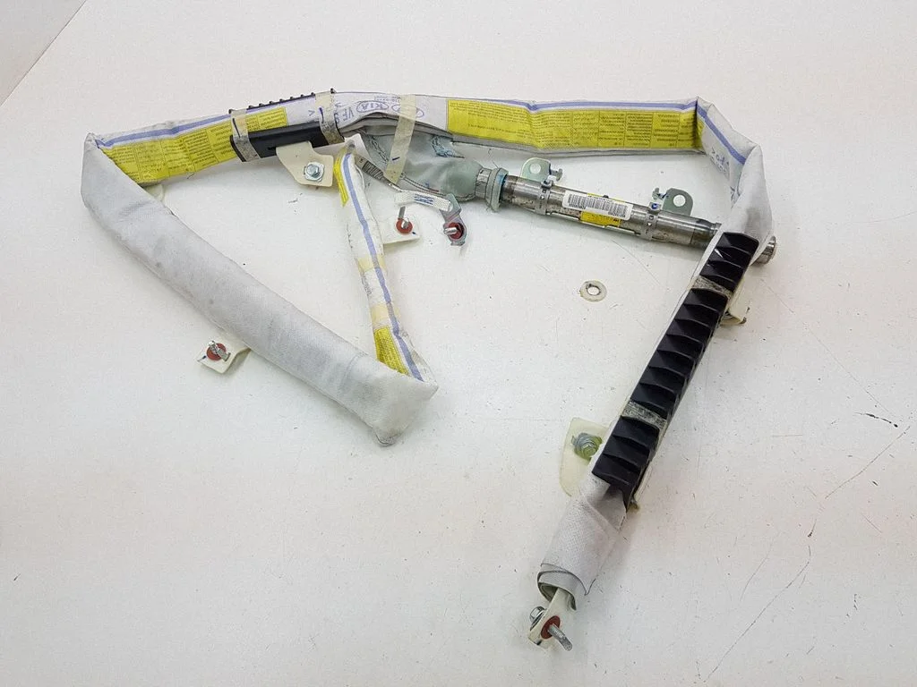 Roof airbag 850103Z300