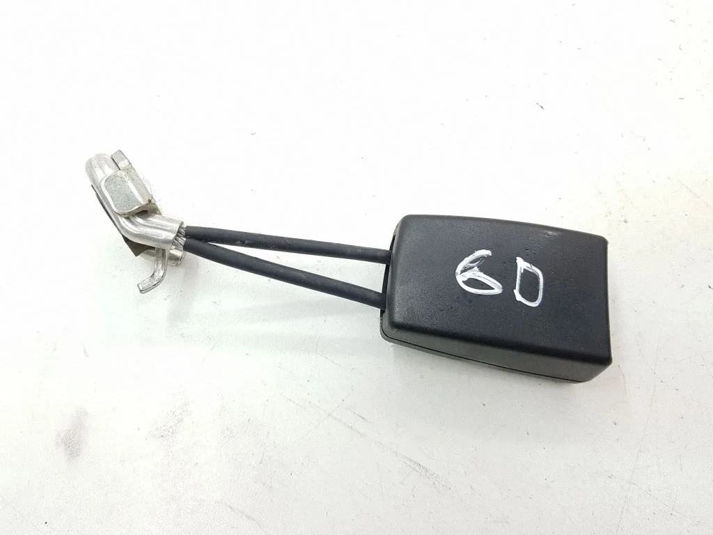 Rear seatbelt buckle 2198600669
