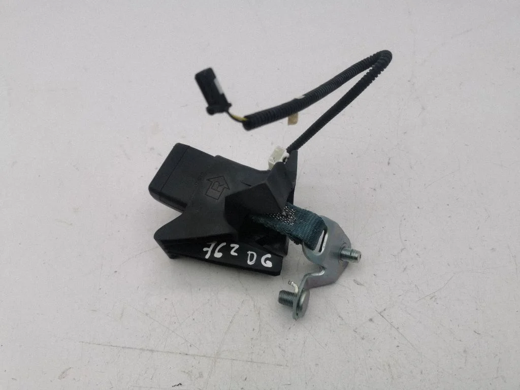 Tagumise turvavöö pannal – Toyota RAV 4 (XA50) (2018-)