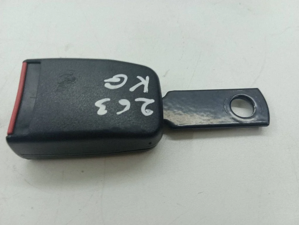 Rear seatbelt buckle 1021207F4