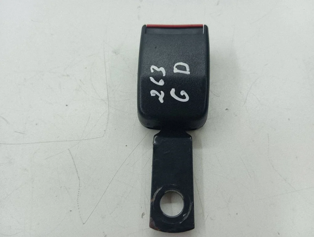 Rear seatbelt buckle 1021207F4