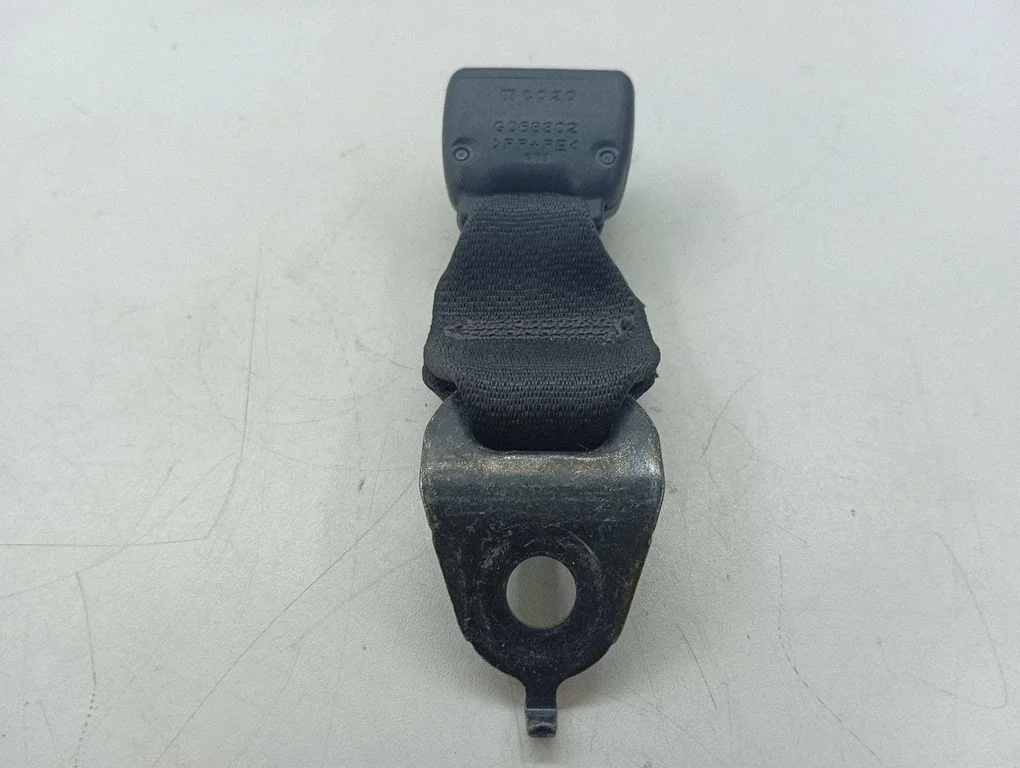 Keskmise turvavöö pannal (tagumine) – Lexus NX (2014-2021)