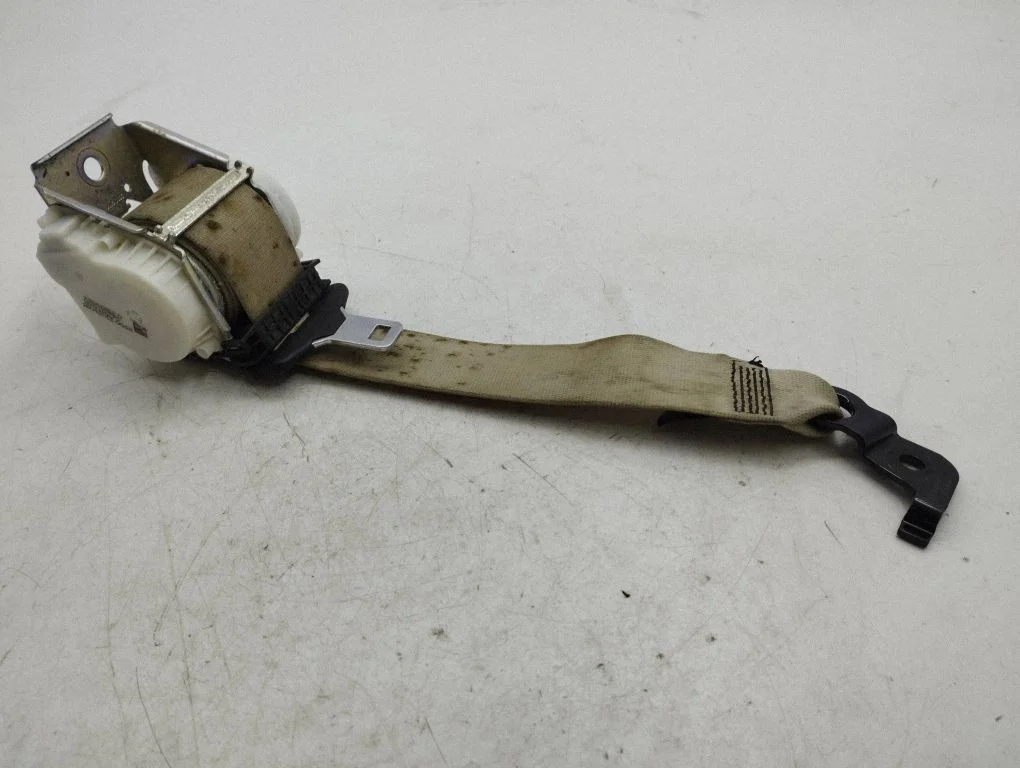 Rear seatbelt 33028136