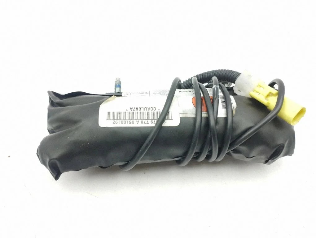 Seat airbag 20879778A