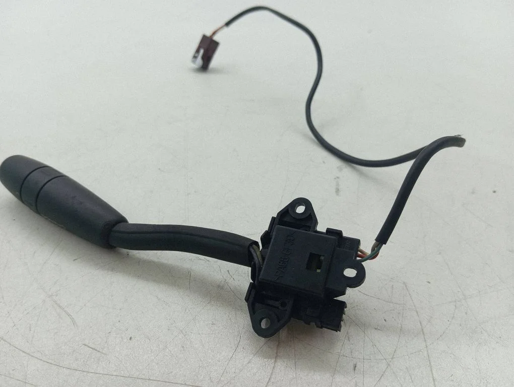 Multifunctional control switch/knob