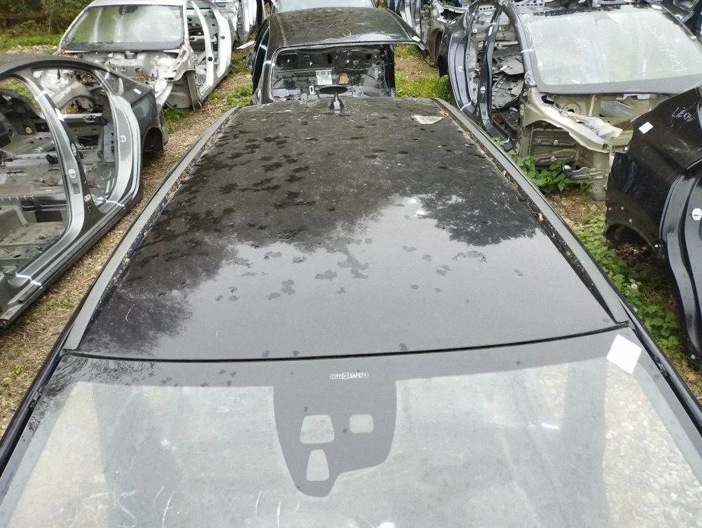 Roof