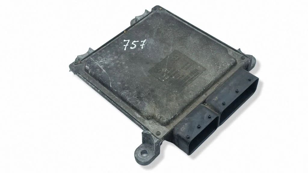 Dzinēja vadības bloks A6519005301
