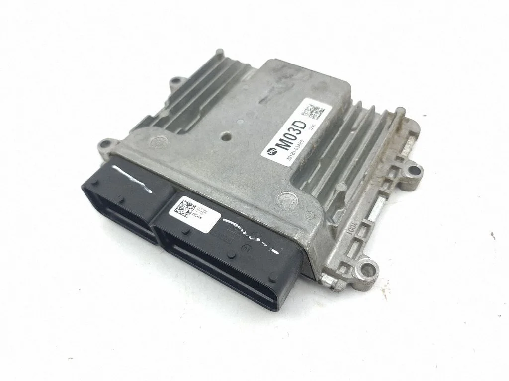 Dzinēja vadības bloks 391B503AE0