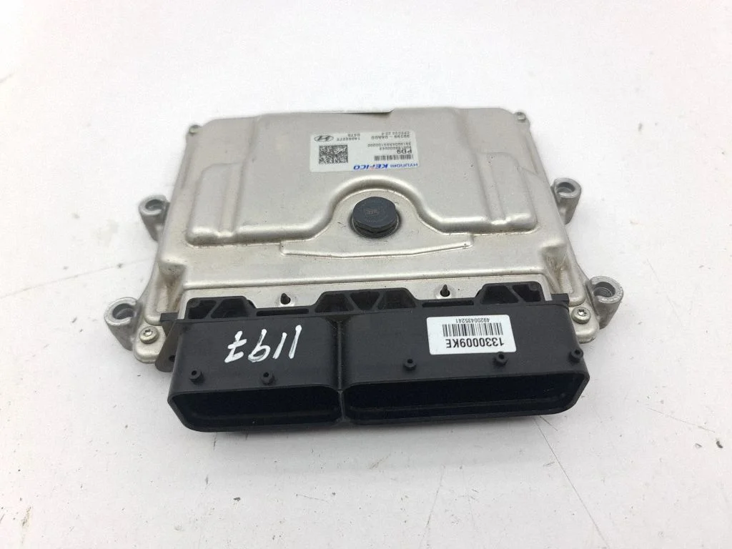 Engine control unit/module 3919904AG0