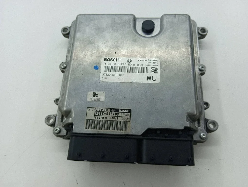 Dzinēja vadības bloks 0281015211