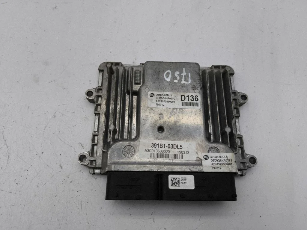 Dzinēja vadības bloks 391B103DL5