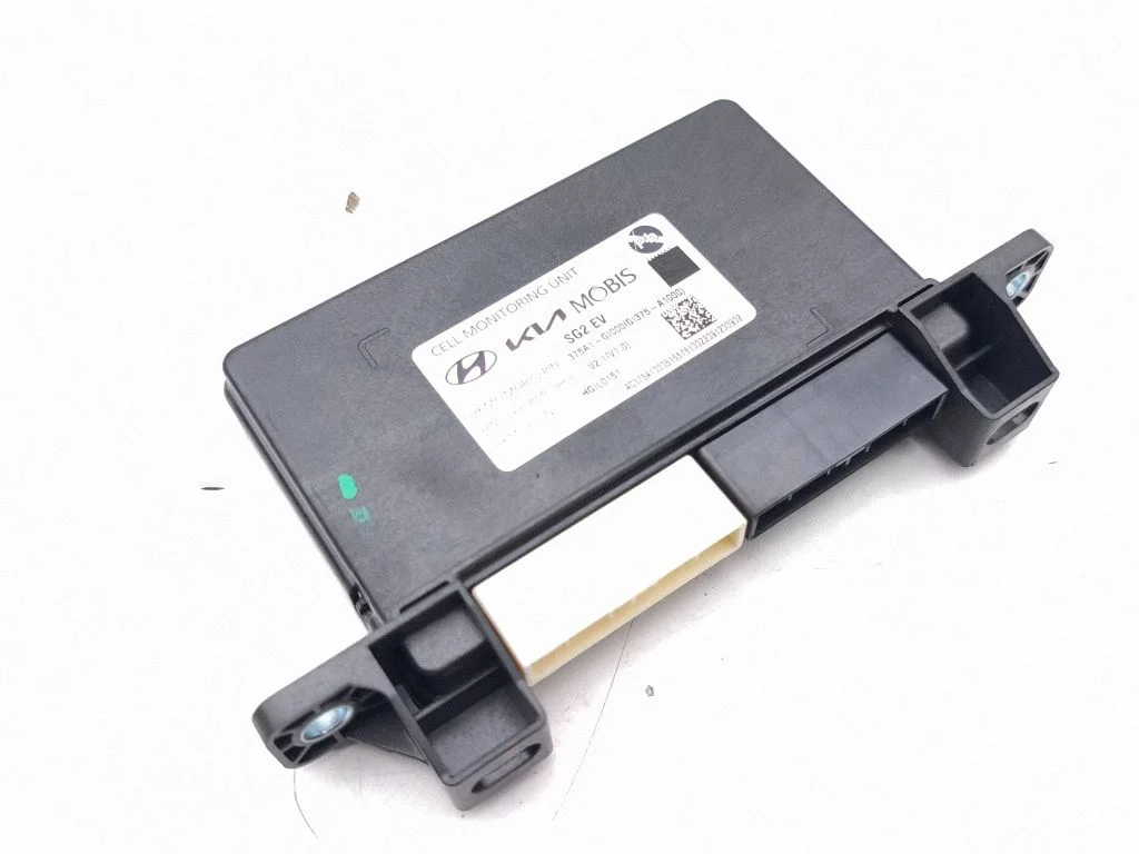 Muud juhtplokid/moodulid 375A1GI000