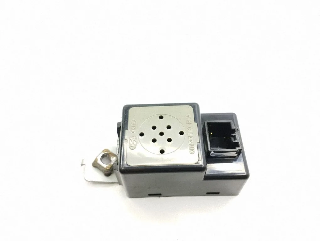Other control units/modules 957002B310