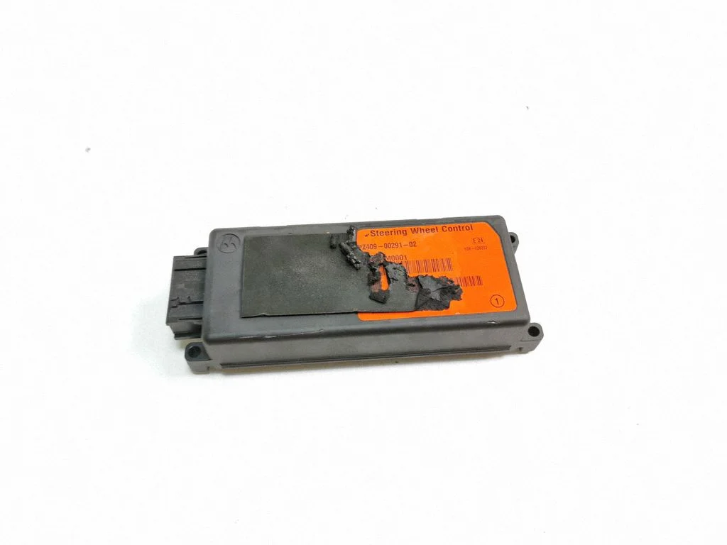 Stūres pastiprinātāja vadības bloks PZ4090029102