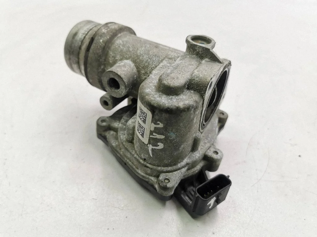 Throttle valve 161A09794R