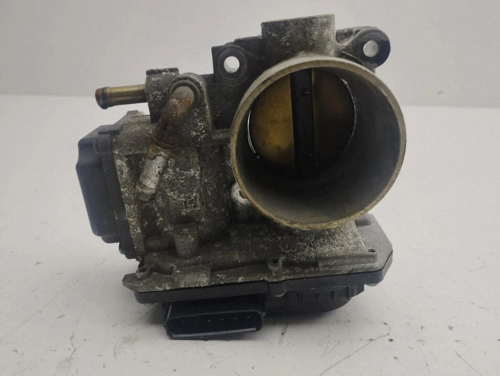 Throttle valve M1604195R70
