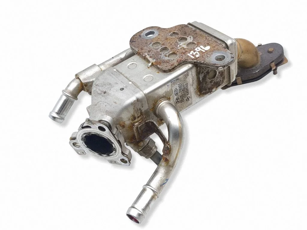 EGR-klapi jahuti 284002M401