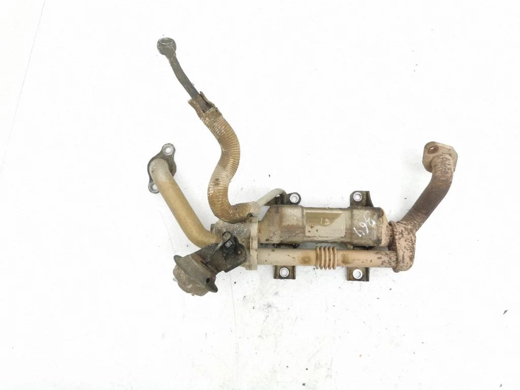 EGR dzesētājs 256800R021A