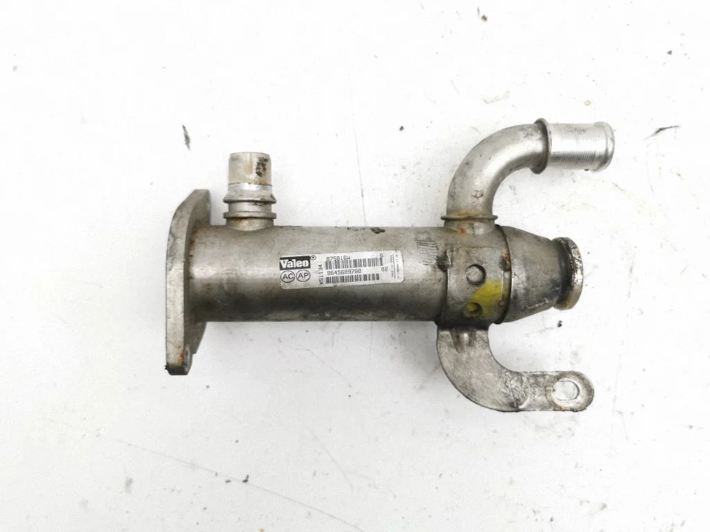 EGR valve cooler – Ford Focus C-MAX (2003-2010)