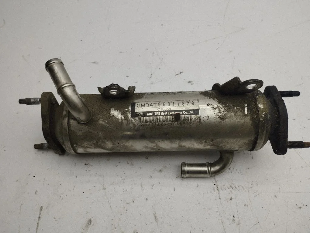 EGR valve cooler 96817829