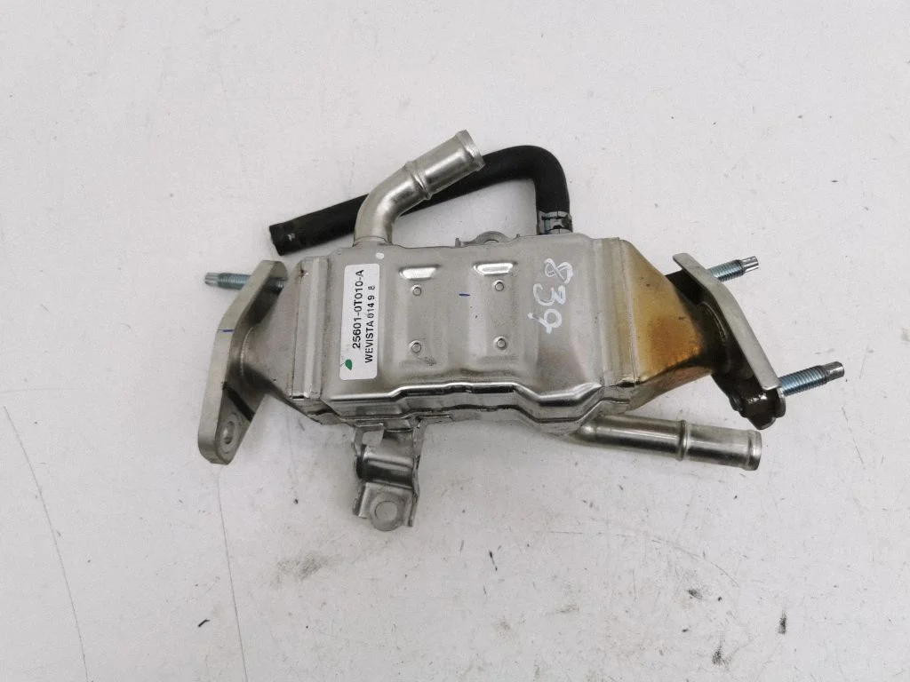 EGR dzesētājs 256010T010A