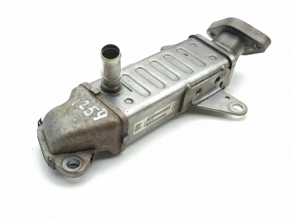 EGR dzesētājs 500518360