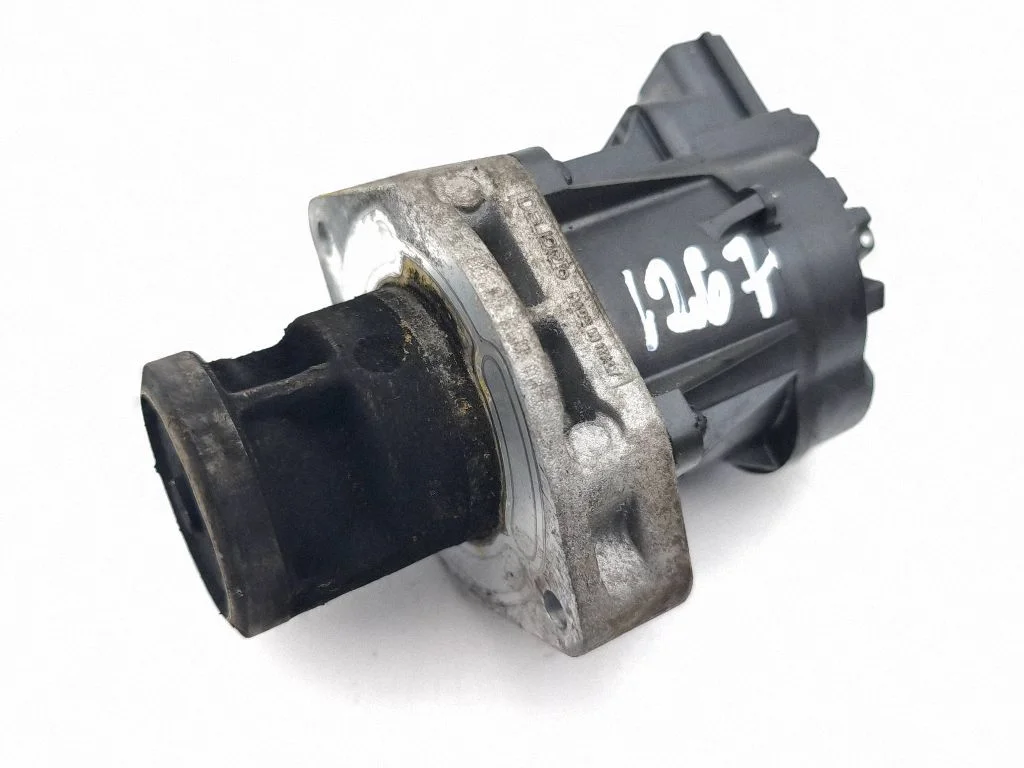 EGR-klapp K5T70977