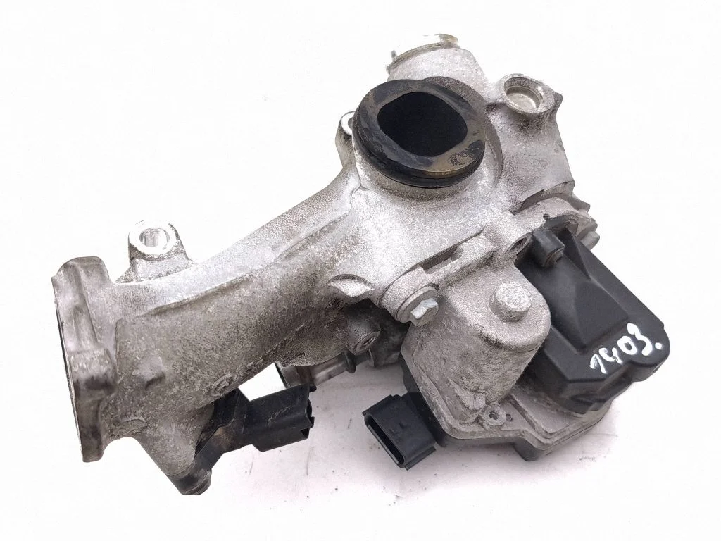 EGR-klapp 147170061R