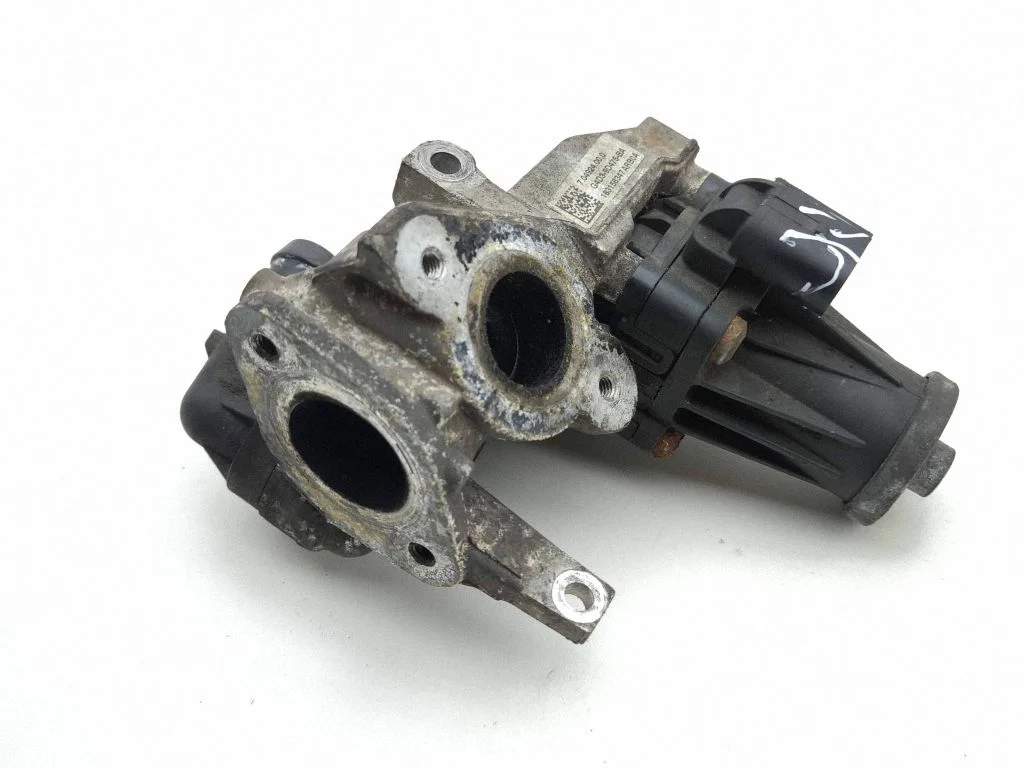 EGR vārsts 704924000