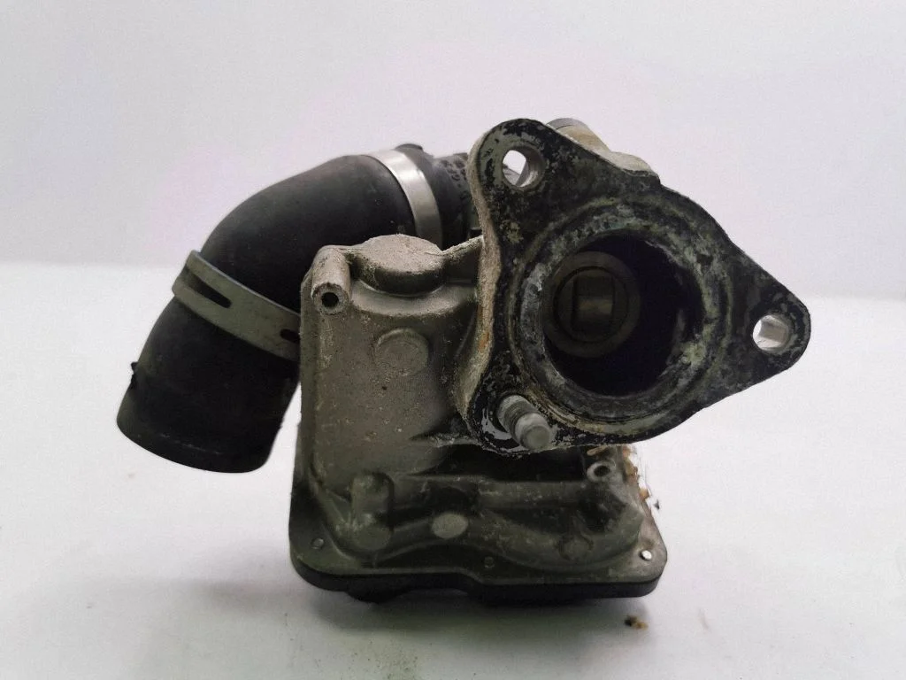 EGR valve H8201143495