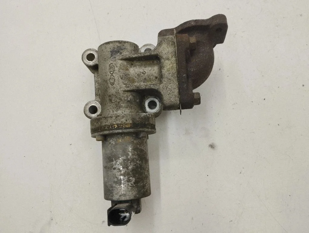 EGR vārsts – KIA Sorento (2002-2009)