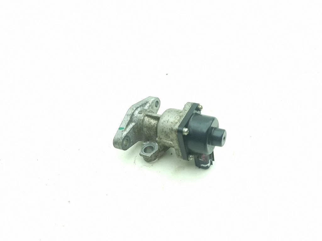 EGR vārsts 79179