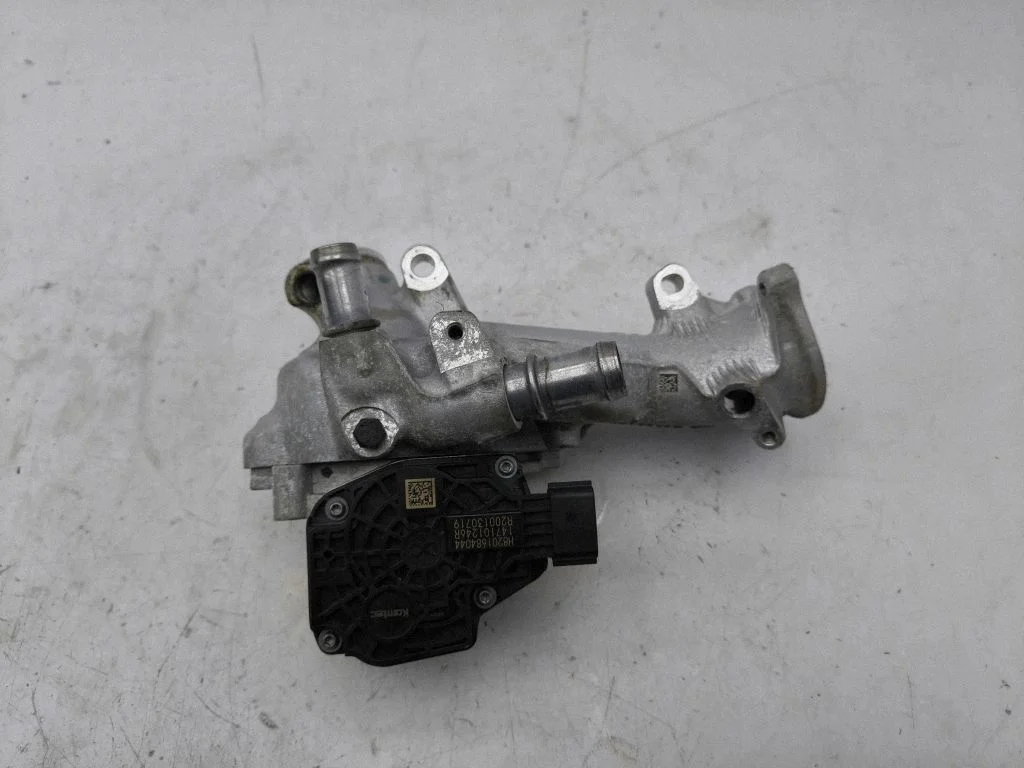 EGR vārsts R200130719