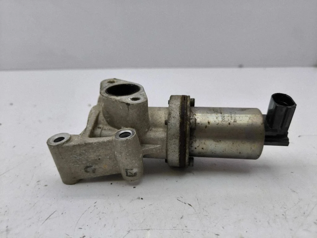 EGR vārsts 284102A300