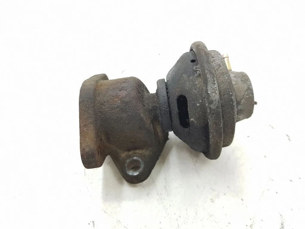 EGR-klapp 25224100